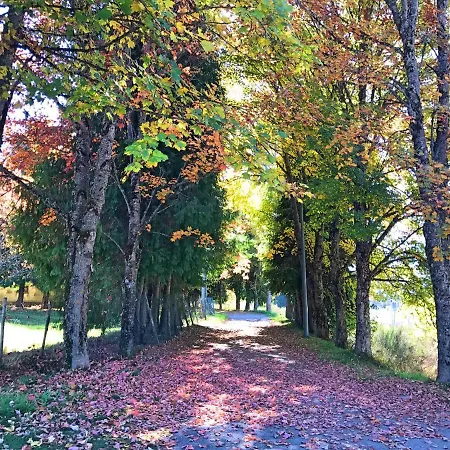 Perla Della Sila Lorica