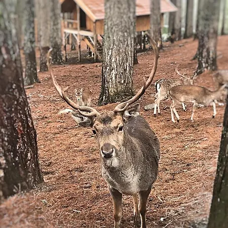 Bed & Breakfast Perla Della Sila