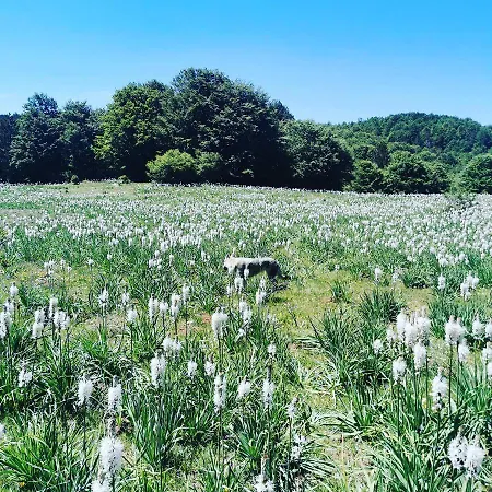 Perla Della Sila Bed & Breakfast