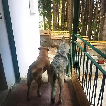 Perla Della Sila Bed & Breakfast 3*