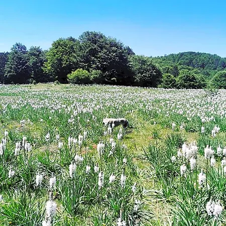 Panzió Perla Della Sila Lorica