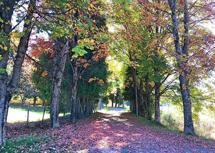 Perla Della Sila لوريكا