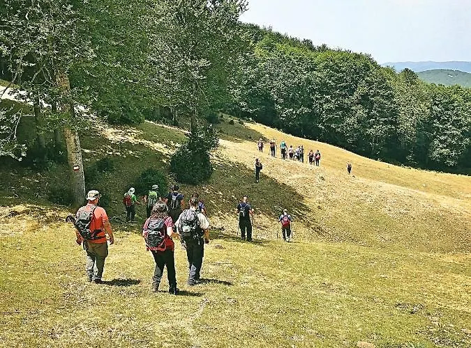 فندق مبيت وإفطار Perla Della Sila لوريكا