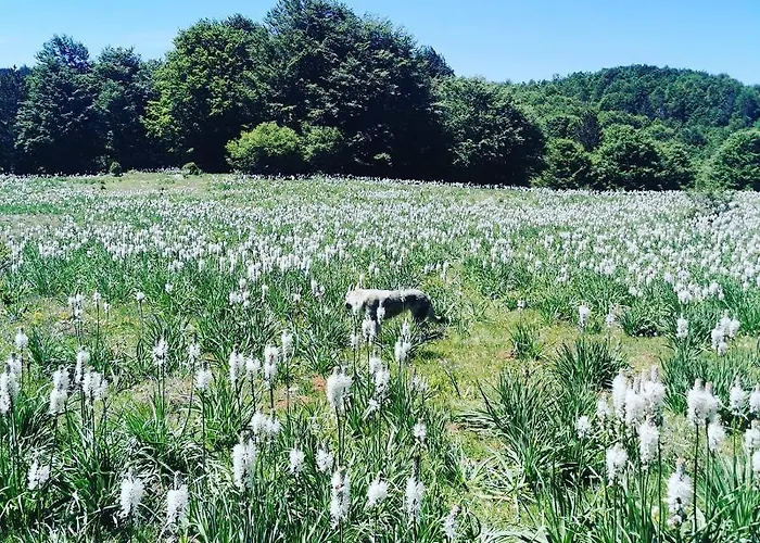 Perla Della Sila فندق مبيت وإفطار