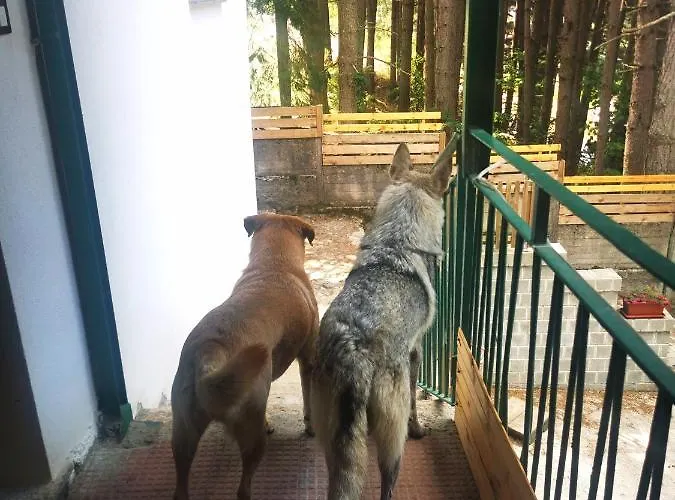 Perla Della Sila Bed & Breakfast 3*